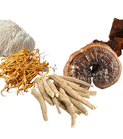 Adaptogens: Your Resilient Allies in the Face of Stress.