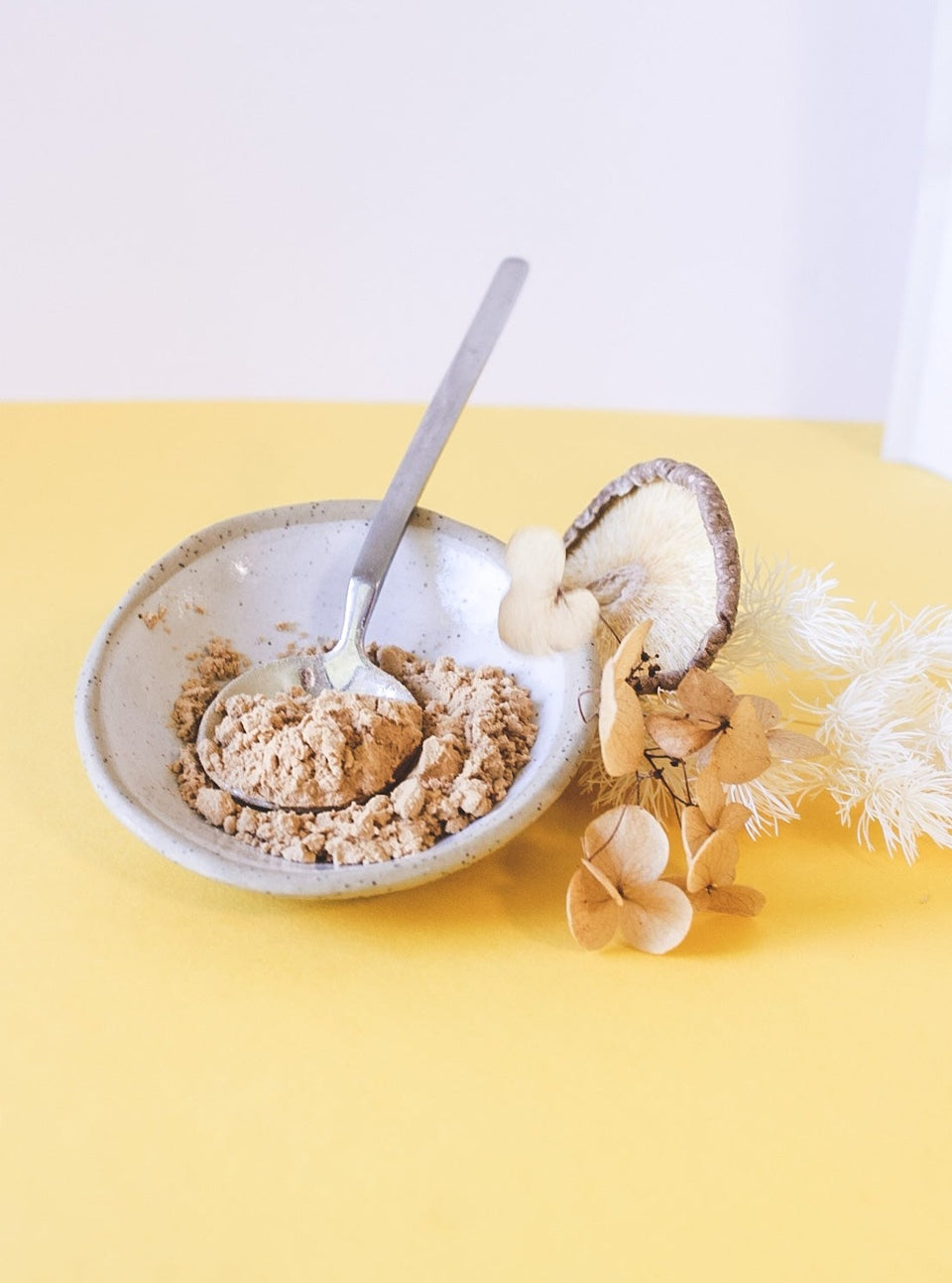 Lion's Mane Powder - THE CREATOR