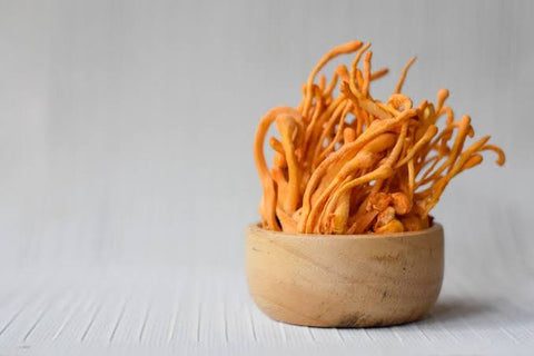 The Power Within You - Cordyceps