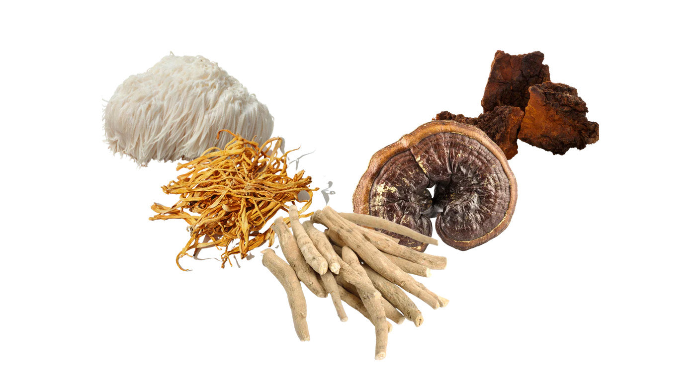 Adaptogens: Your Resilient Allies in the Face of Stress.